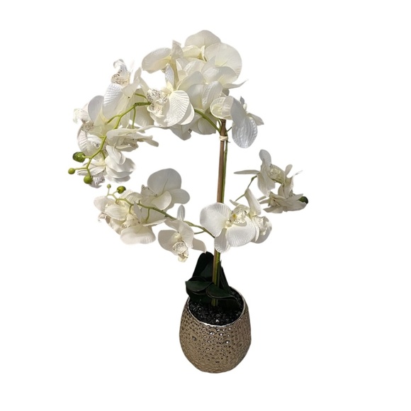 Artificial Orchid Flower Blooms, White, Includes Durable Metal Pot‎ - Picture 2 of 7
